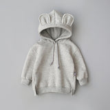 2019 New  Spring Autumn Baby Boys Girls Clothes Cotton Hooded Sweatshirt Children's Kids Casual Sportswear Infant Clothing
