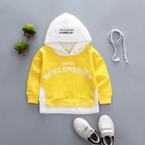 2019 New  Spring Autumn Baby Boys Girls Clothes Cotton Hooded Sweatshirt Children's Kids Casual Sportswear Infant Clothing
